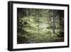 Reindeer Stag with Exceptionally Long Antlers-perszing1982-Framed Photographic Print