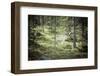 Reindeer Stag with Exceptionally Long Antlers-perszing1982-Framed Photographic Print