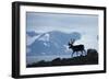 Reindeer, Svalbard, Norway-Paul Souders-Framed Photographic Print