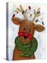 Reindeer with Lights-Beverly Johnston-Stretched Canvas