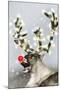 Reindeer with Snow, Red Nose and Lights on Antlers-null-Mounted Photographic Print