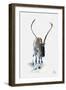 Reindeer-null-Framed Art Print
