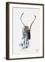 Reindeer-null-Framed Art Print