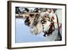 Reindeer-3355m-Framed Photographic Print