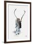 Reindeer-null-Framed Art Print