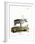 Reindeer-null-Framed Giclee Print