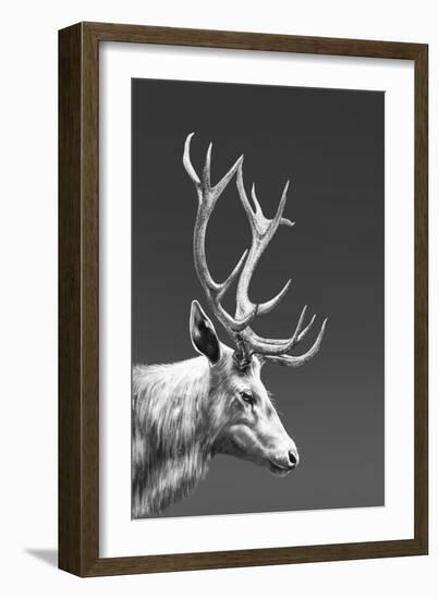 Reindeer-Gabriella Roberg-Framed Giclee Print
