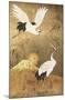 Reinders - Japanese Cranebirds-Trends International-Mounted Poster