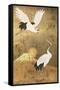 Reinders - Japanese Cranebirds-Trends International-Framed Stretched Canvas