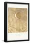 Essential Black