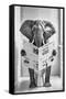 Framed Canvas