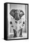 Framed Canvas