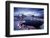 Reine Blue Hour-Javier de la-Framed Photographic Print