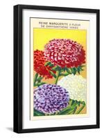 Reine Marguerite A Fleur De Chrysantheme Variee-null-Framed Art Print