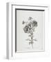 Reine-Marguerite, from Fleurs Dessinees D'Apres Nature, C. 1800-Gerard Van Spaendonck-Framed Giclee Print