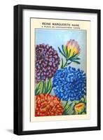 Reine Marguerite Naine A Fleur De Chrysantheme Varie-null-Framed Art Print