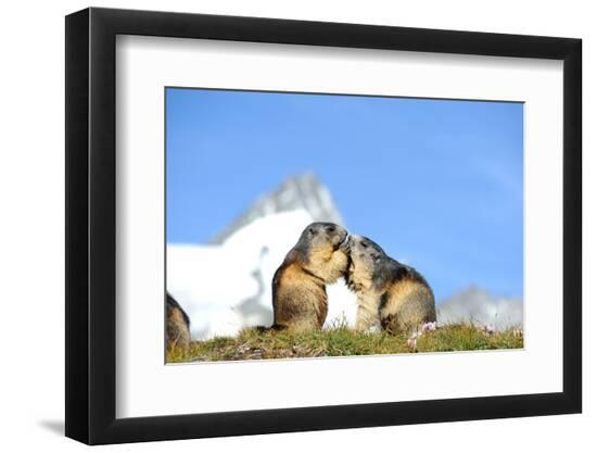 Premium Photographic Print, , large