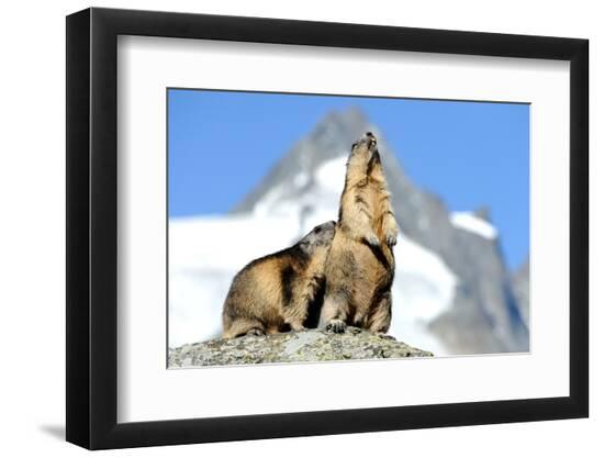 Photographic Print, , large