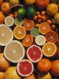 Citrus Fruits, Orange, Grapefruit, Lemon, Sliced in Half Showing Different Colours, Europe-Reinhard-Framed Stretched Canvas