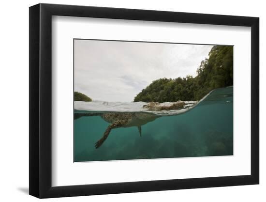 Premium Photographic Print, , large