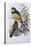 Reinwardt's Trogon-John Gould-Stretched Canvas