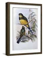 Reinwardt's Trogon-John Gould-Framed Giclee Print