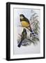 Reinwardt's Trogon-John Gould-Framed Giclee Print