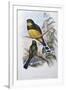 Reinwardt's Trogon-John Gould-Framed Giclee Print