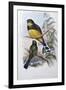 Reinwardt's Trogon-John Gould-Framed Giclee Print