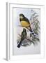 Reinwardt's Trogon-John Gould-Framed Giclee Print