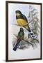 Reinwardt's Trogon-John Gould-Framed Giclee Print