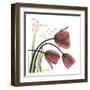 Rejoicing Tulips-Albert Koetsier-Framed Art Print