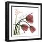 Rejoicing Tulips-Albert Koetsier-Framed Art Print