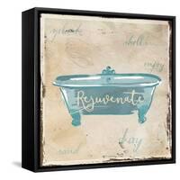 Rejuvenate Shells-Jace Grey-Framed Stretched Canvas