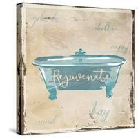 Rejuvenate Shells-Jace Grey-Stretched Canvas