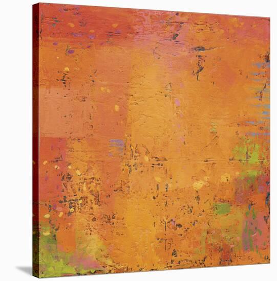 Rejuvenation-Jeannie Sellmer-Stretched Canvas