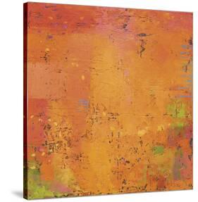 Rejuvenation-Jeannie Sellmer-Stretched Canvas