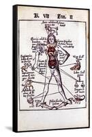 Relationship of the Organs of the Body, the Humours and Signs of the Zodiac, 1508-null-Framed Stretched Canvas