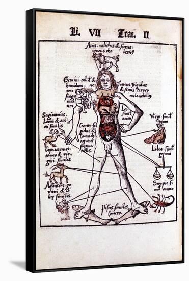 Relationship of the Organs of the Body, the Humours and Signs of the Zodiac, 1508-null-Framed Stretched Canvas