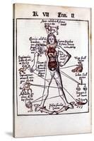 Relationship of the Organs of the Body, the Humours and Signs of the Zodiac, 1508-null-Stretched Canvas