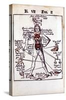 Relationship of the Organs of the Body, the Humours and Signs of the Zodiac, 1508-null-Stretched Canvas