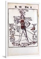 Relationship of the Organs of the Body, the Humours and Signs of the Zodiac, 1508-null-Framed Giclee Print