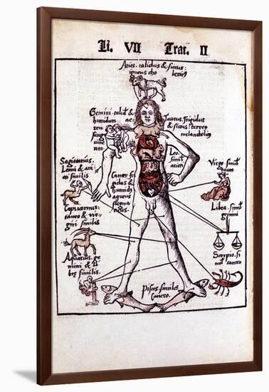 Relationship of the Organs of the Body, the Humours and Signs of the Zodiac, 1508-null-Framed Giclee Print