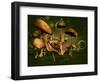 Relax 3D Computer Graphics-Atelier Sommerland-Framed Art Print