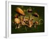 Relax 3D Computer Graphics-Atelier Sommerland-Framed Art Print