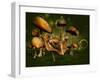 Relax 3D Computer Graphics-Atelier Sommerland-Framed Art Print