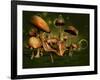 Relax 3D Computer Graphics-Atelier Sommerland-Framed Art Print