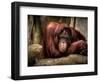 Relax-Stephen Arens-Framed Photographic Print