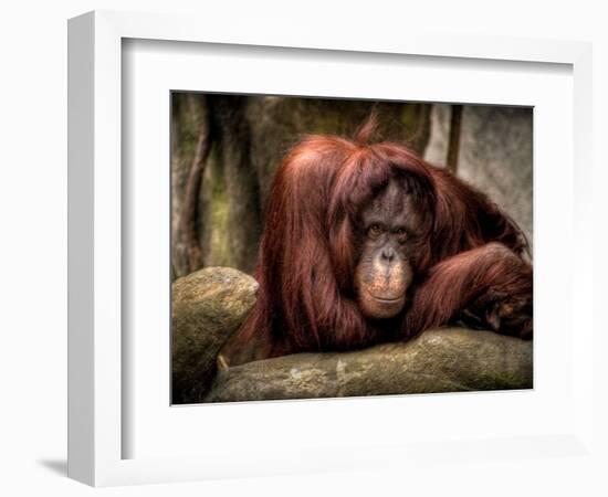 Relax-Stephen Arens-Framed Photographic Print