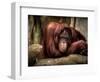 Relax-Stephen Arens-Framed Photographic Print